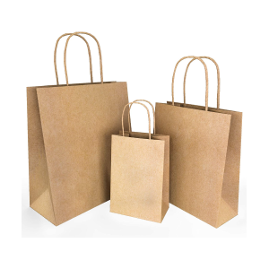 Brown Paper Bag Medium